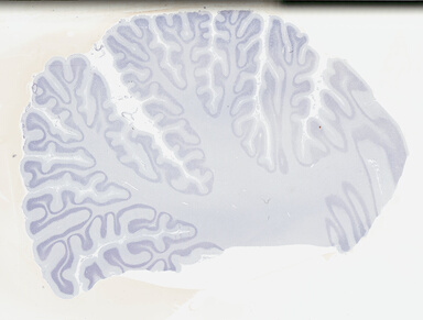 ['deident_16a870de-089a-4501-827d-07dfe0cf3090_695fc3b5.jpg']