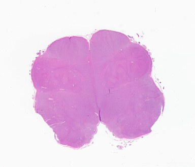 ['deident_24fd844e-cfa1-4cf9-8576-648d4f3fbaef_69b0638b.jpg']