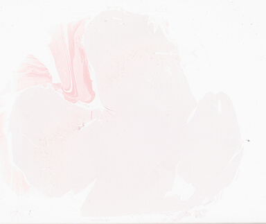 ['deident_1b254814-5788-4594-b258-eebf96f041ce_69d93dbc.jpg']