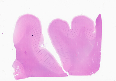 ['deident_b898c930-2ee9-4190-be38-236ff39b787e_69b0572b.jpg']