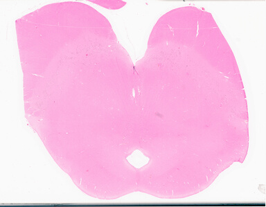 ['deident_b13ab913-aba2-473d-b3c1-25e2c084d7ca_69d9576e.jpg']