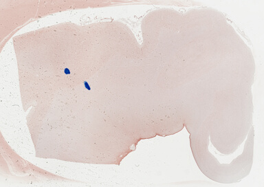 ['deident_16c48b0f-afa9-4987-9443-8fb4ef83ad32_695fd433.jpg']