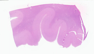 ['deident_2e5498ca-6a9d-4a62-8e47-5200a5aeab3e_69b05c76.jpg']