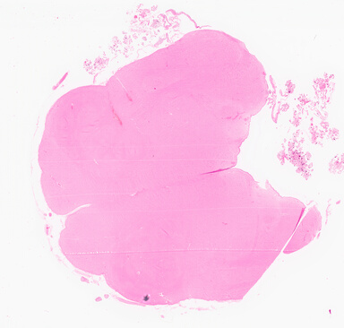 ['deident_7ad848cf-ff4f-4a11-b293-bab867603b1d_69d9561f.jpg']
