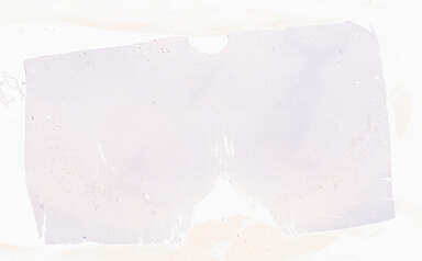 ['deident_ef1d1b65-1dd5-4174-b4d9-55d4a105ff9b_69b052b8.jpg']