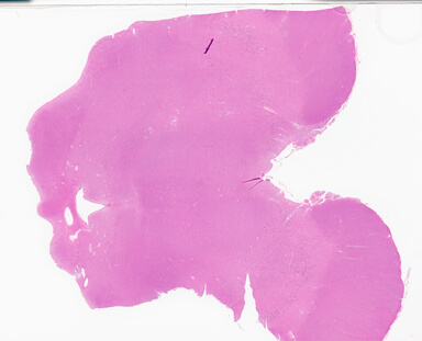 ['deident_ed43906e-cd30-4446-9caf-53f7da2e5520_69d945d8.jpg']