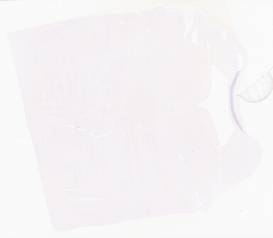 ['deident_2585c6d3-51bb-400b-a98c-fc1589521274_69b0302c.jpg']