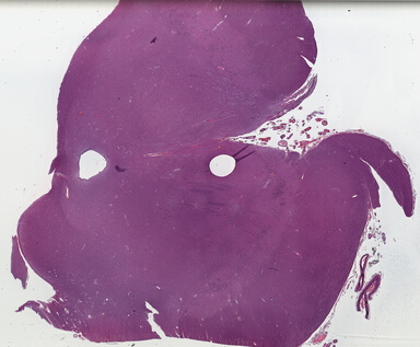['deident_c7c2eb64-09a2-4c75-8381-f0bfa0c37e6c_69b03a74.jpg']
