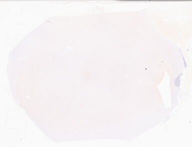 ['deident_a21a37bc-4f61-4c43-a8aa-3ef2eed10c51_69b03a64.jpg']