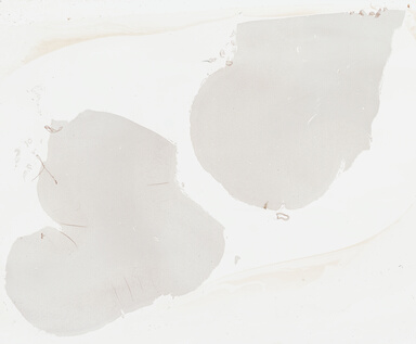 ['deident_83e0fe05-d4bf-4f22-9b92-a0d2ead9a10b_69b03a5f.jpg']