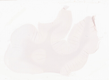 ['deident_b1928211-784d-46fc-98ae-e9635e38c00c_69b0619e.jpg']