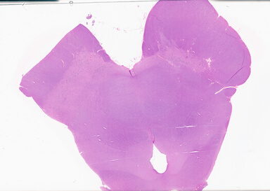 ['deident_115de39e-7de7-4b3b-96da-6576fabd1439_69b0615d.jpg']