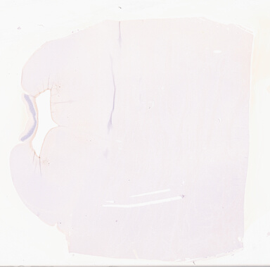 ['deident_6cba9150-f5ab-4078-8eca-01eba03d8d60_695fc2a4.jpg']