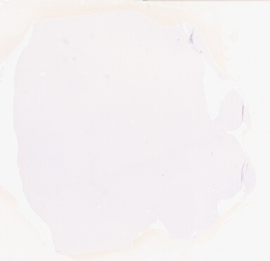 ['deident_060907a0-5ee7-4861-aa5d-b6e91d6bb24e_69d954a4.jpg']