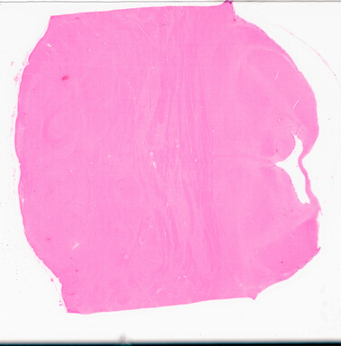 ['deident_1cb2d088-377b-4723-b87b-6690d6843386_69d954b2.jpg']