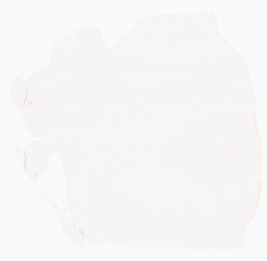 ['deident_8afc5535-b46b-47df-80c3-680682365233_69d954e2.jpg']