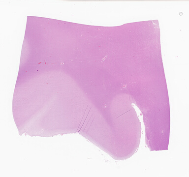 ['deident_f08f5216-cde5-4f13-85ee-21dd867d8ee9_69d94143.jpg']