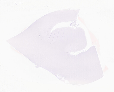 ['deident_b65a74c2-a06b-4cf8-89ae-f4bf18537ba2_69d950f0.jpg']