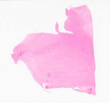 ['deident_e3ad13a4-9c2b-4a14-8e17-e02f26372c6a_69d9510d.jpg']