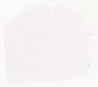 ['deident_46d5cbab-f851-4195-8206-31473ca312b1_69b0389e.jpg']