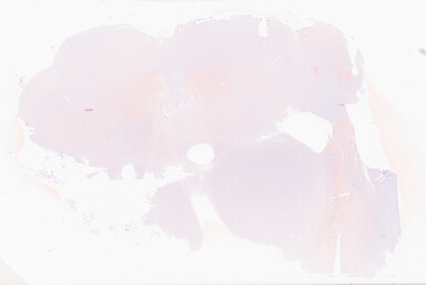 ['deident_36294522-519e-458d-acd0-090a1d4e536d_69b02e04.jpg']