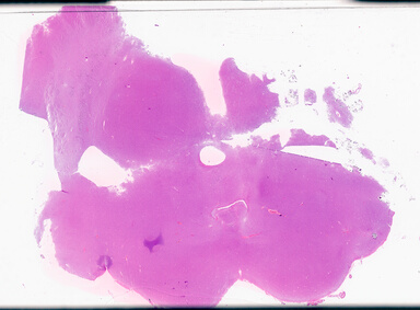 ['deident_5ebac28a-5988-4791-8562-42653dcba2df_69b02e22.jpg']