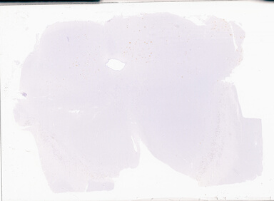 ['deident_28bd33cb-dc94-41d0-812d-aa1377c86132_69b02df5.jpg']