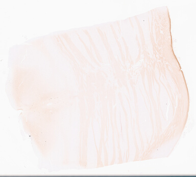 ['deident_c627fa85-2706-4e02-8818-e48d454cd2bb_69b02e77.jpg']