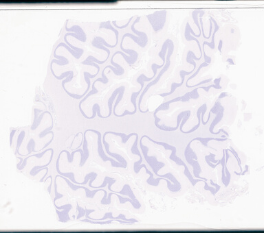 ['deident_f47ef259-faef-413a-b87b-56902a24873f_69b02e8b.jpg']