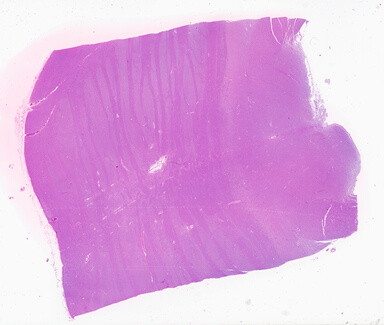 ['deident_be9543ec-cd00-48e6-8148-d10eb3c17d90_69b02e6c.jpg']