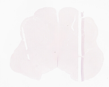 ['deident_0d73ab8b-fb19-4da7-a153-ea759c496a76_69b05668.jpg']