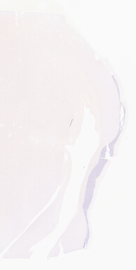 ['deident_c363a20d-de5c-43a0-a698-54380cf02863_695fc688.jpg']