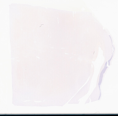 ['deident_da0f89e6-5f70-44b9-9fd5-c70f62a419de_695fc690.jpg']