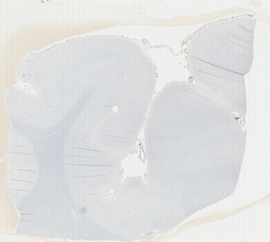 ['deident_9048ce4e-b870-4e1d-a39a-4900cdc88441_695fc66b.jpg']