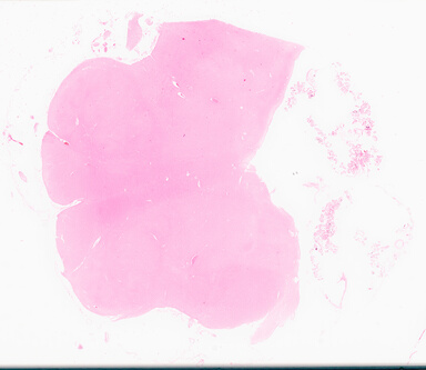 ['deident_81bbb97c-31e0-417b-9d07-faf4d713cd56_69d96a58.jpg']