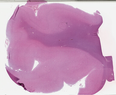 ['deident_92b4baf6-b981-4c81-ab1c-071b86867ccc_695fc31b.jpg']