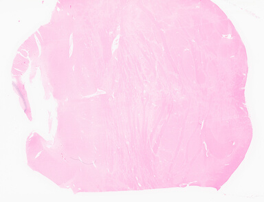 ['deident_f021bb66-9475-4664-98cf-1bf58c2bdd7a_69d96036.jpg']