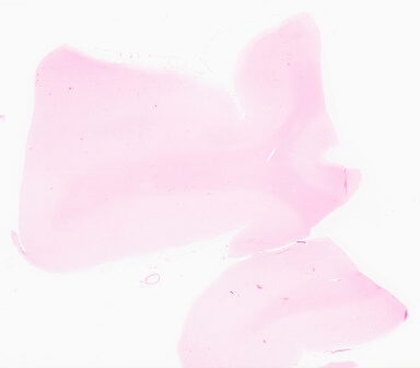 ['deident_08aab09a-71cc-4a56-9c9a-e7b23d37c678_69d95fbe.jpg']