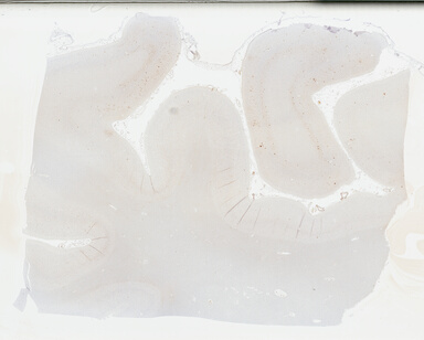 ['deident_390334aa-ad6f-4eca-8965-2a7d853f6088_69b04ae6.jpg']