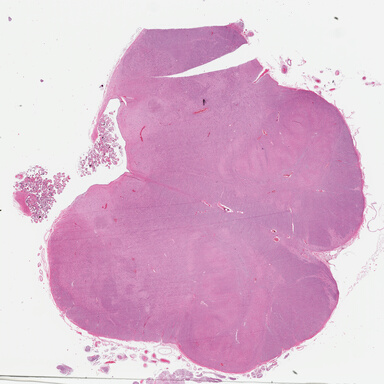 ['deident_aa1d27b0-4fda-40cc-acc1-d2a8d60c75f9_695fcdd4.jpg']