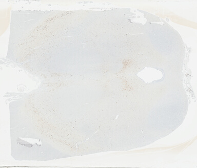 ['deident_74aeed25-217c-4be8-94ef-2d0939b4762f_695fcdb9.jpg']