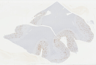 ['deident_82f021ef-42f5-4077-8fc2-54f02abf4d4b_69b042e4.jpg']