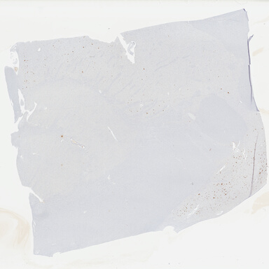 ['deident_cfede9f4-a91d-4bca-b1e7-9c71c25ae66b_69b042f9.jpg']