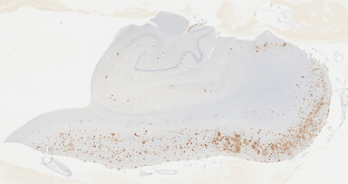 ['deident_c2d5f82c-abe9-40c6-9ffb-35bbecbf6a4e_69b042f1.jpg']