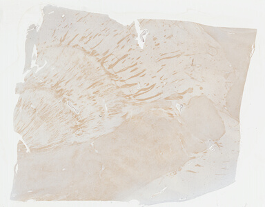 ['deident_14f602de-e544-4065-9c66-4b46d825c0f7_69b042cc.jpg']