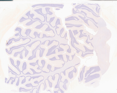 ['deident_82eab4fc-0888-4afb-85db-58052b93b9c1_69b02c01.jpg']