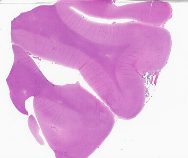 ['deident_effbca21-e60f-4c46-91e3-f581a24cf9d0_69b02c32.jpg']