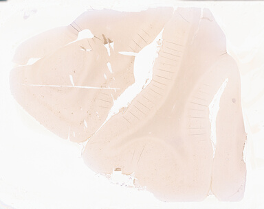 ['deident_83448df2-fbbf-48e8-b75a-791806dd4117_69b02c04.jpg']