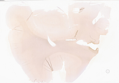 ['deident_26e62b4f-0c34-4c90-b2e5-a69e5a6a6b5e_69b02bd5.jpg']