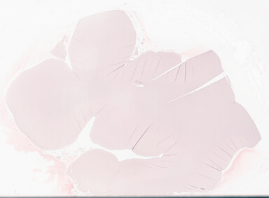 ['deident_87fb8616-509e-4630-acad-562f65ac77a1_69d94338.jpg']